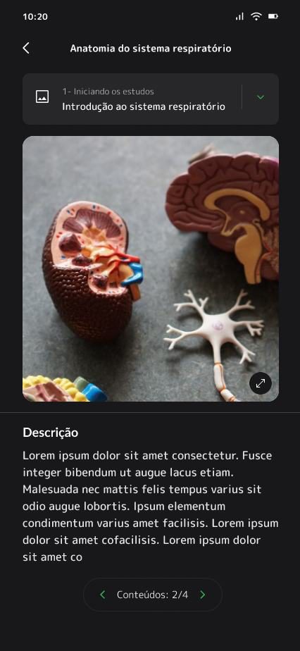 Telas de navegação do aplicativo.